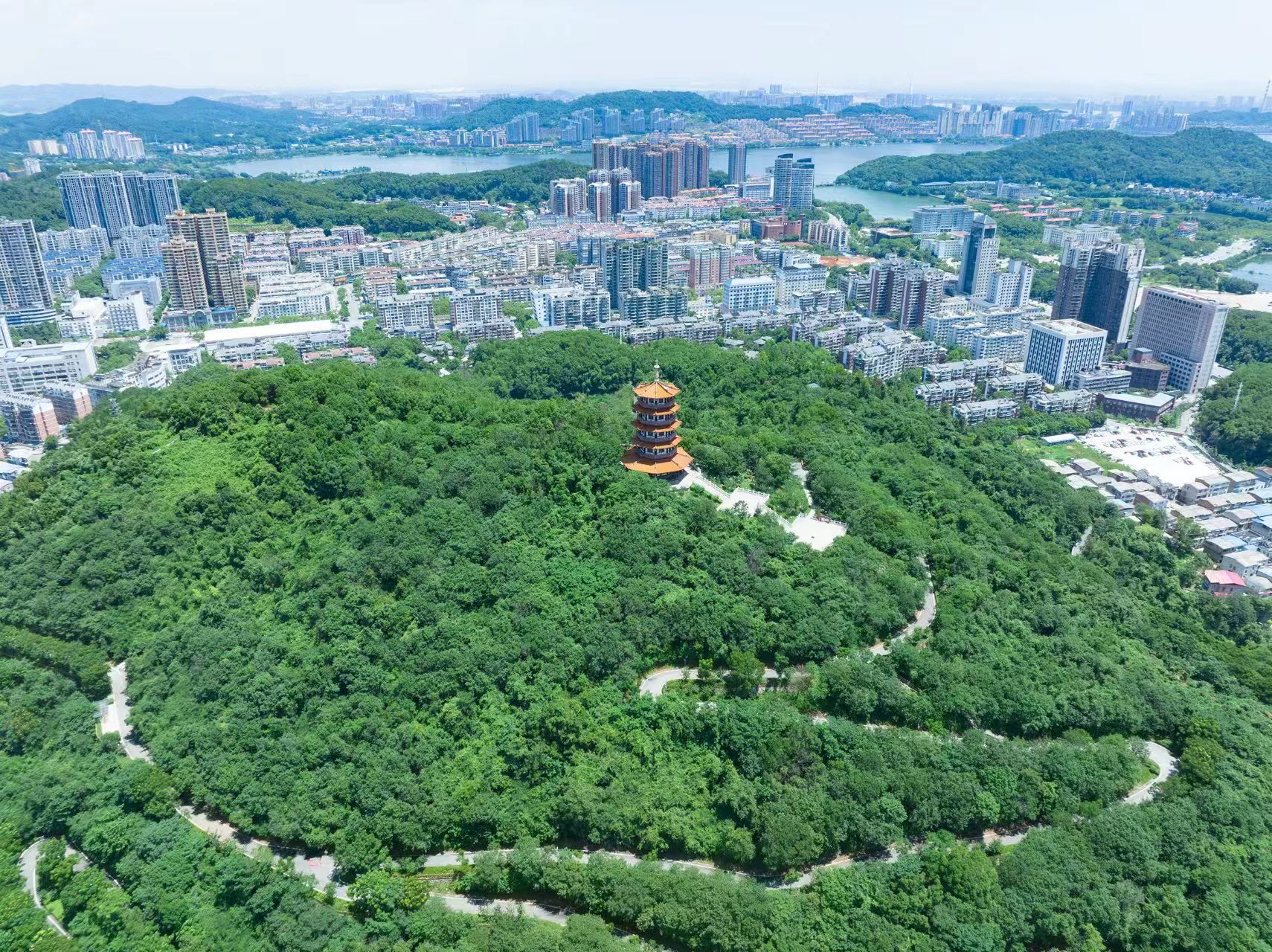 勁牌捐建的柯爾山白馬山公園.jpg